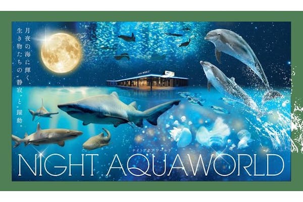 ナイトバックヤードツアー付】NIGHT AQUAWORLD ※小学生未満 参加不可