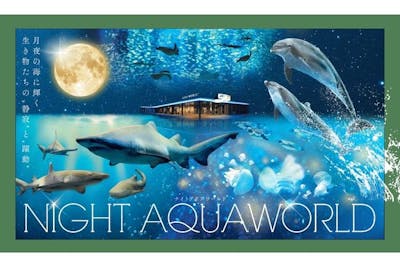 ナイトバックヤードツアー付】NIGHT AQUAWORLD ※小学生未満 参加不可