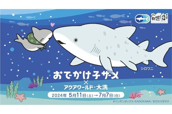 アクアワールド茨城県大洗水族館 おでかけ子ザメ限定ステッカー付き日付指定WEBチケット｜アソビュー！