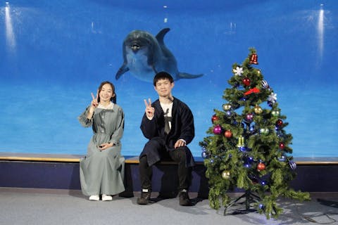 2F ペンギン水中 | アクアワールド茨城県大洗水族館【公式】