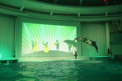12月21日NIGHT AQUAWORLD限定！大人ペアチケット～イルカと記念