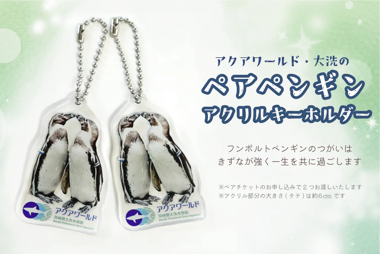 アクアワールド大洗チケット3枚 年間パスポート | アクア アクアワールド大洗チケット3枚 年間パスポート | アクア