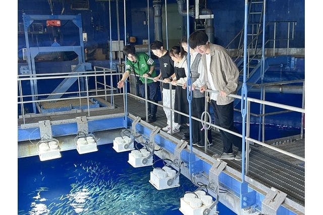 自然体験塾「魚類飼育体験」