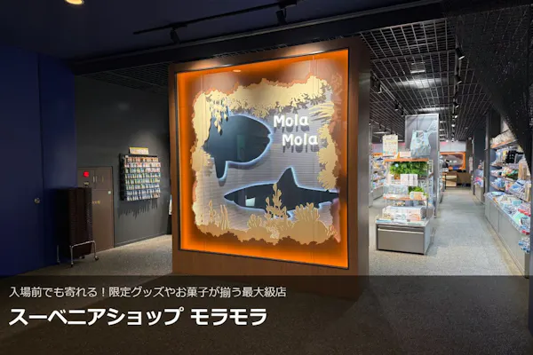 最大100円引】さあ、新世海へ！アクアワールド茨城県大洗水族館 入館