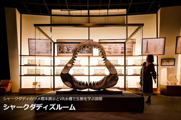 最大100円引】さあ、新世海へ！アクアワールド茨城県大洗水族館 入館