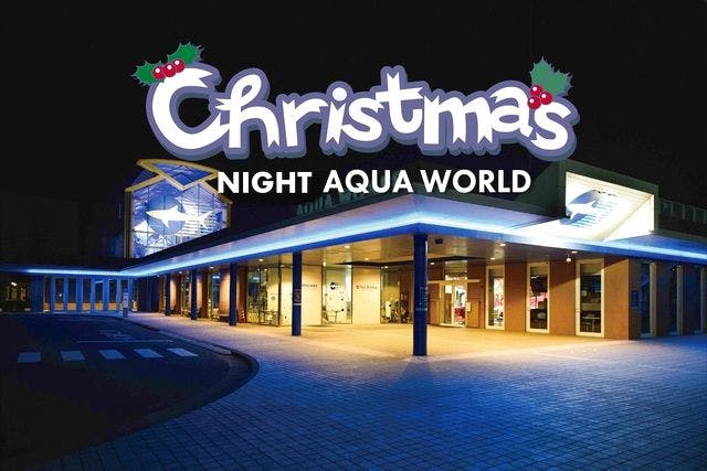 12月20日・24日クリスマスナイト