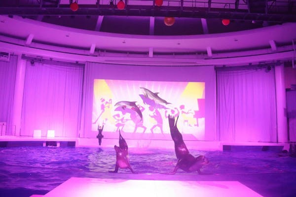 12月20日・24日クリスマスナイト バックヤードツアー付チケット※小学生