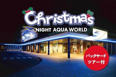 r.k.a様　12月10日（水）夕方 12月20日・24日クリスマスナイト バックヤードツアー付チケット※小学生