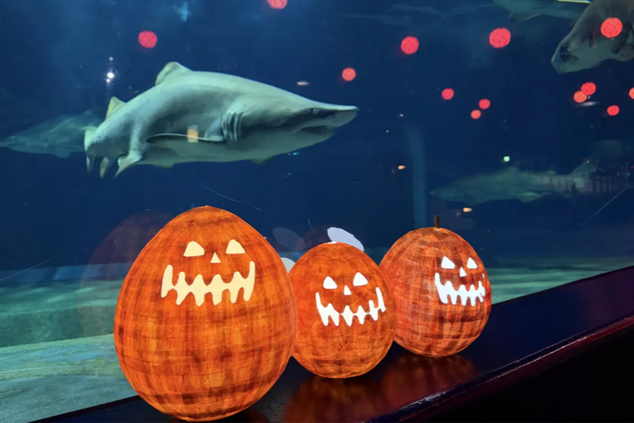 ナイトバックヤードツアー付き】10月限定NIGHT AQUAWORLD～ハロウィン