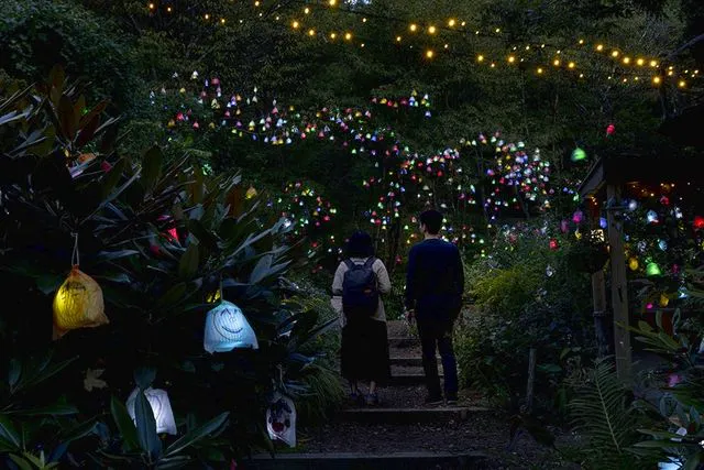 ひかりの森～夜の芸術散歩～ Web割夜パス＋シダレミュージアム - 神戸
