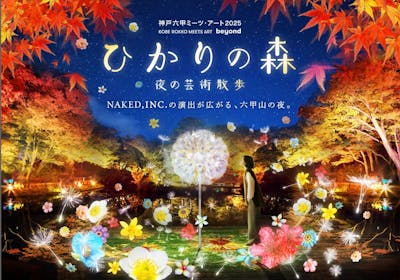 ひかりの森～夜の芸術散歩～ Web割夜パス＋シダレミュージアム