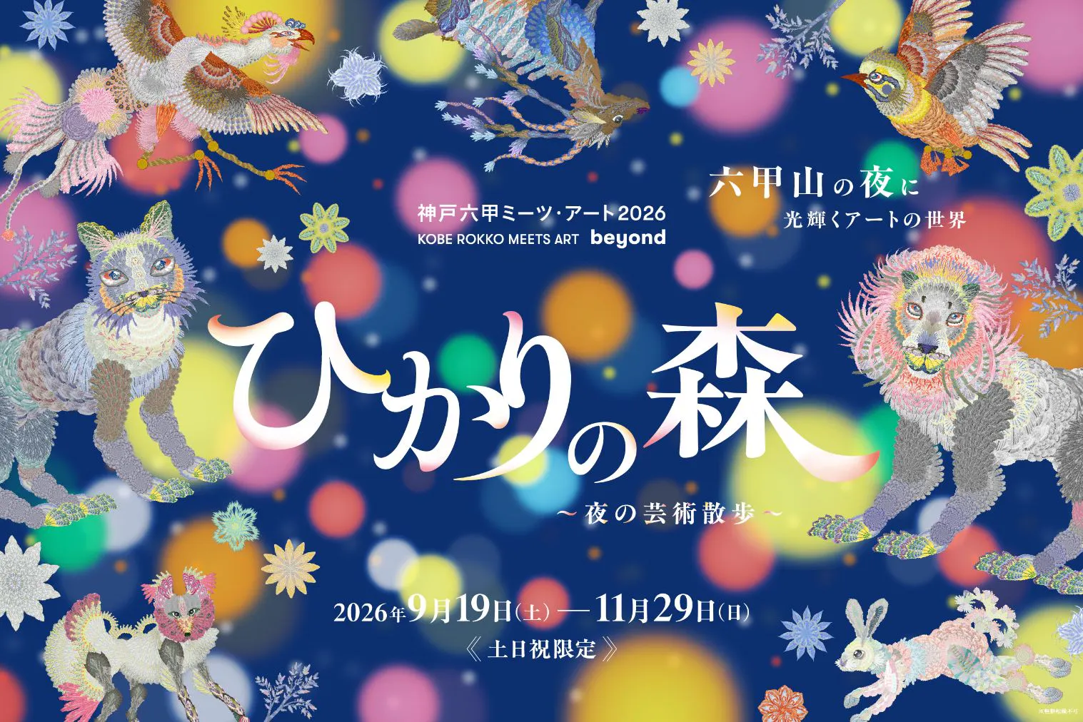 【土日祝限定】ひかりの森～夜の芸術散歩～夜パス【Web割】