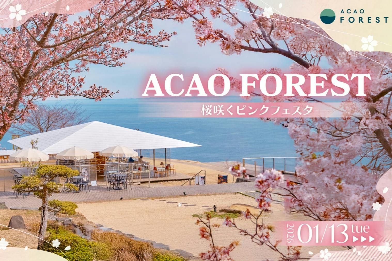 ACAO FOREST