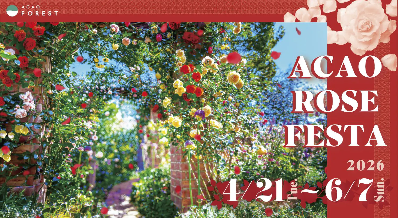 ACAO FOREST
