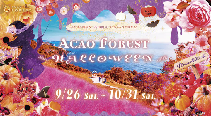 ACAO FOREST