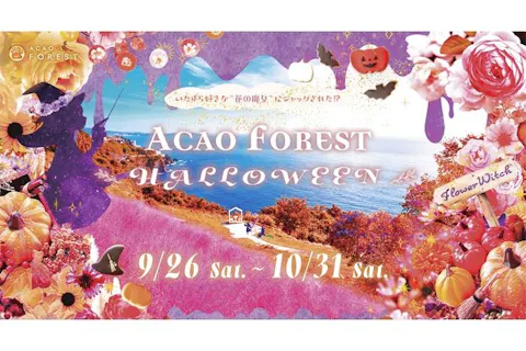 【入園料10％OFF】ACAO FOREST 特別前売り入園チケット