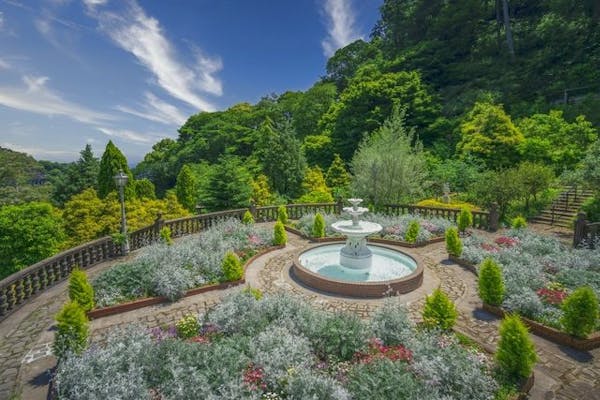 前売り入園券】LAND ART PARK「ACAO FOREST」｜アソビュー！