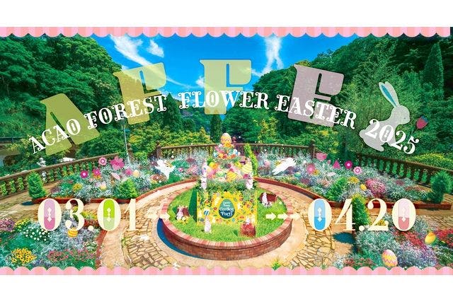 【入園料20％OFF】ACAO FOREST 特別前売り入園チケット