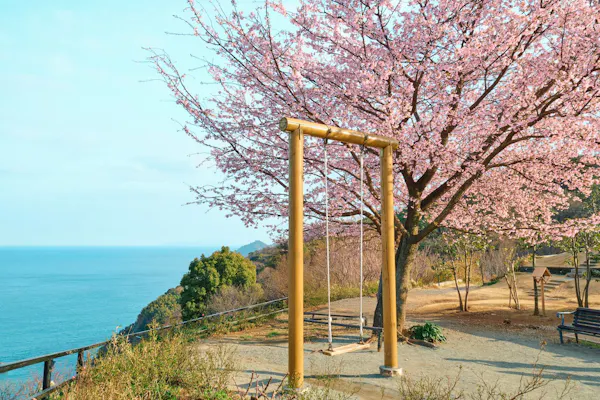 入園料10％OFF】ACAO FOREST 特別前売り入園チケット｜アソビュー！