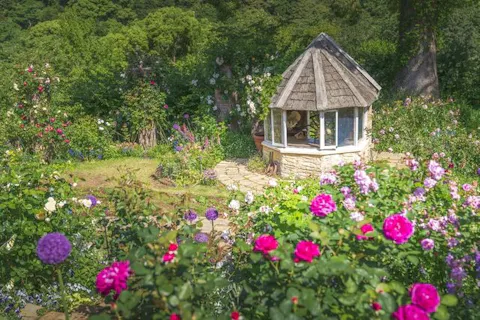 【入園料10％OFF】ACAO FOREST 特別前売り入園チケット