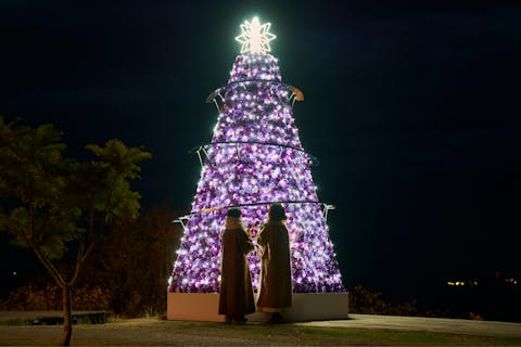 【入園料20％OFF】ACAO FOREST 特別前売り入園チケット