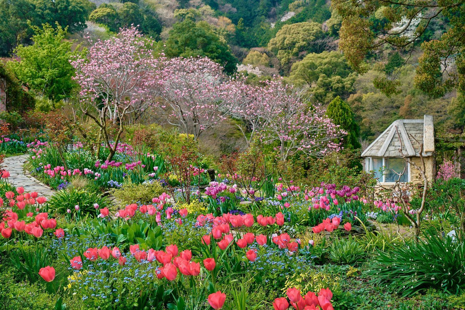 【入園料10％OFF】ACAO FOREST 特別前売り入園チケット