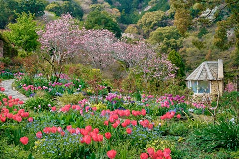 【入園料10％OFF】ACAO FOREST 特別前売り入園チケット
