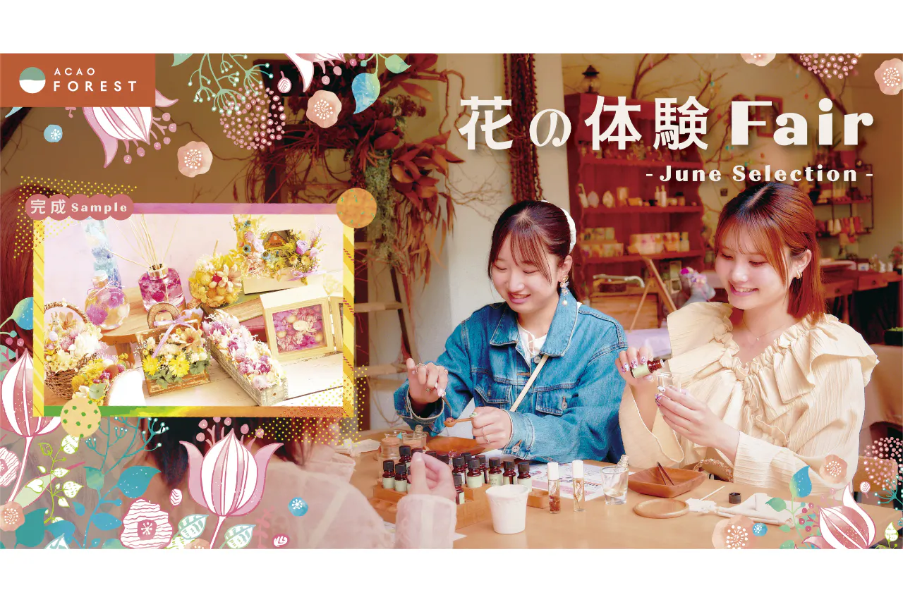 プランの写真