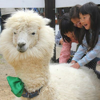 100円割引 牧歌の里 入園チケット アソビュー 100円割引 牧歌の里 入園チケット アソビュー