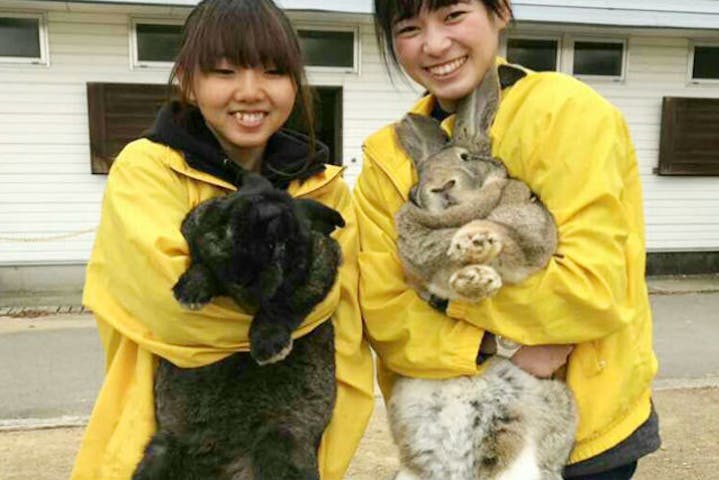 8 割引 牧歌の里 割引チケット クーポンならアソビュー