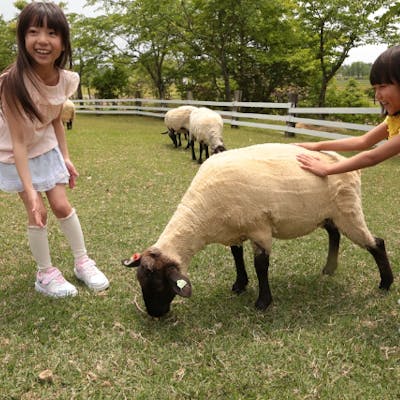100円割引 牧歌の里 入園チケット アソビュー 100円割引 牧歌の里 入園チケット アソビュー
