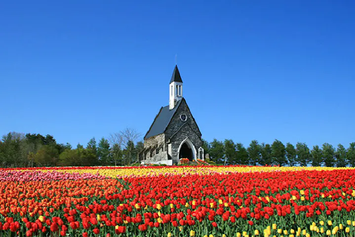 8 割引 牧歌の里 割引チケット クーポンならアソビュー