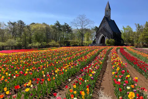 4/18〜5/31【100円割引】牧歌の里 入園チケット