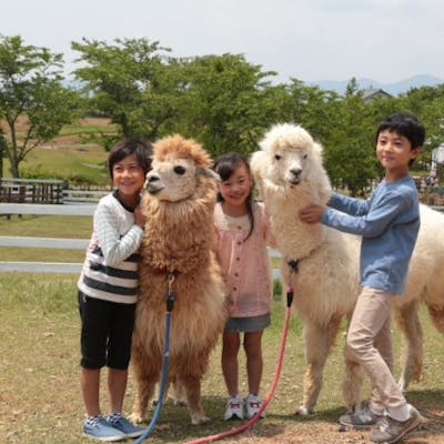 100円割引 牧歌の里 入園チケット アソビュー 100円割引 牧歌の里 入園チケット アソビュー