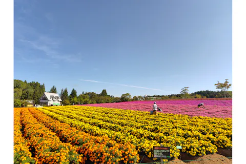 7/19～11/24【100円割引】牧歌の里入園チケット