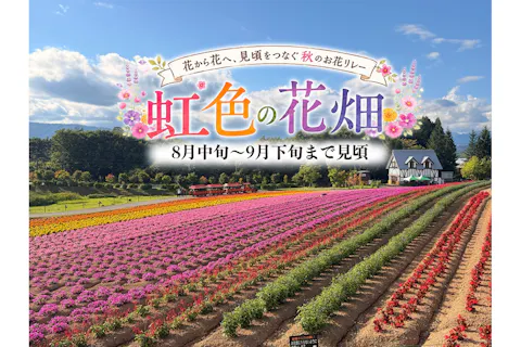 7/18～11/23【100円割引】牧歌の里入園チケット