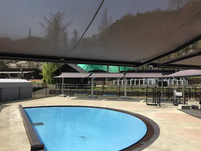 日時指定券 わんダフルネイチャーヴィレッジ ドッグプール利用券 90分 アソビュー