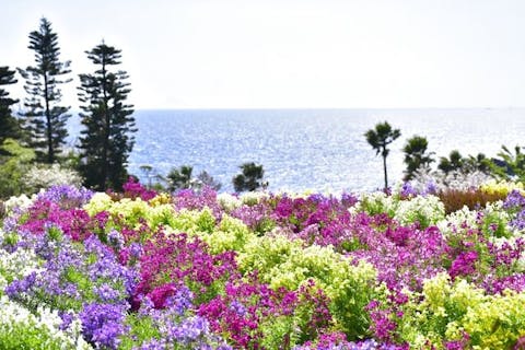 【最大200円割引】 ニューヨークランプミュージアム＆フラワーガーデン WEBチケット