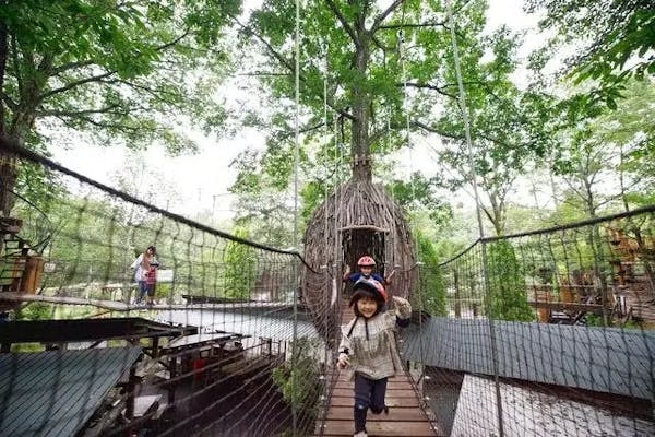 1,000円割引】軽井沢おもちゃ王国 フリーパス+ニジマスのつかみどりセット券※2歳～小学生限定※｜アソビュー！