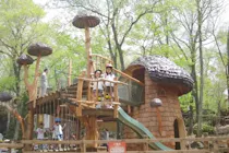 軽井沢　おもちゃ王国　フリーパス　5枚 5/3-5、8/11-15限定】軽井沢おもちゃ王国 フリーパス｜アソビュー！