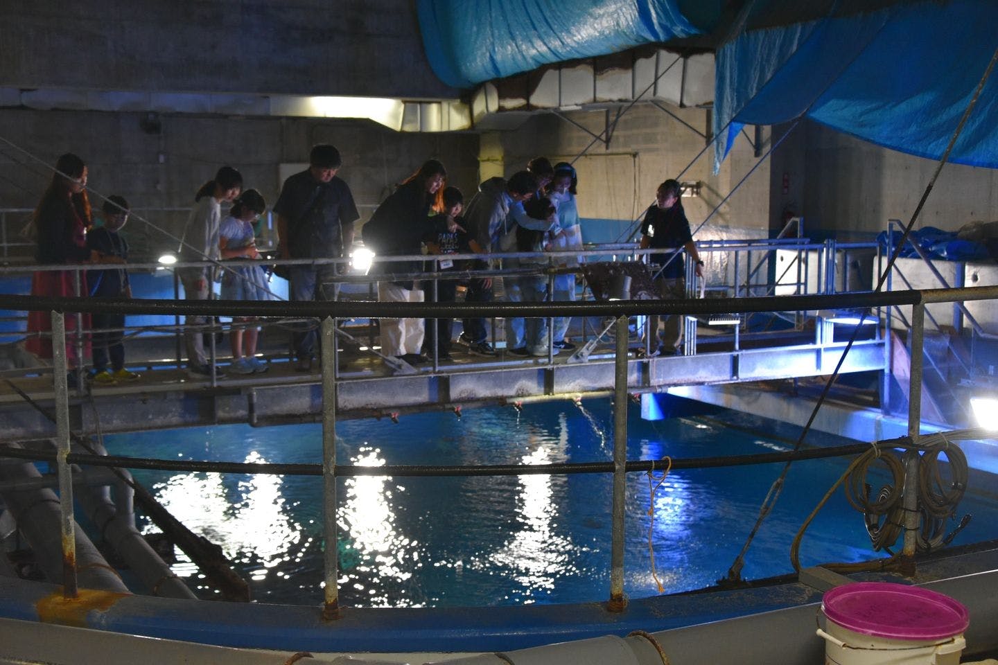 【秋田冬アソビ割クーポン】男鹿水族館GAO　入館＋裏側見学＋食事のセット券