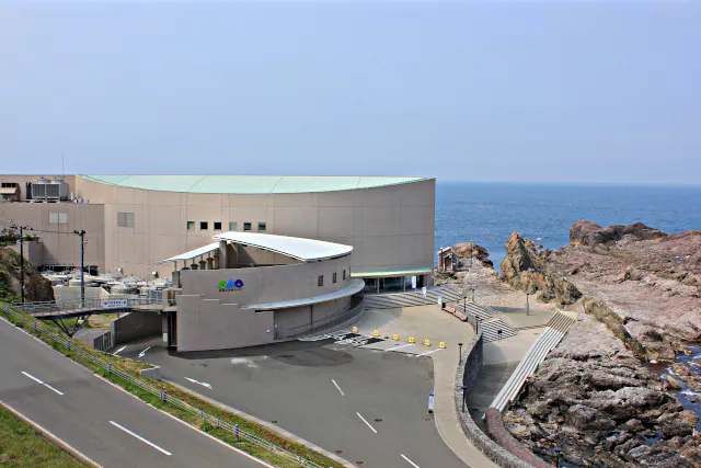 男鹿水族館GAO 入館券