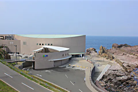 男鹿水族館GAO 入館券