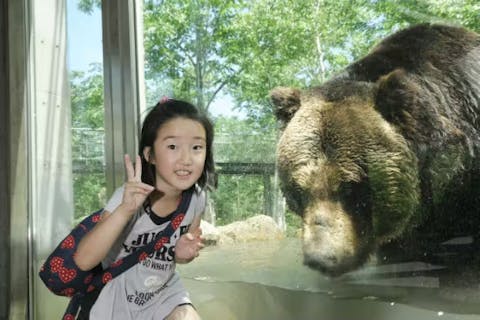 【110円割引】ベア・マウンテン　日時指定券（入場券＋ベアウォッチングバス＋ホテルランチ）