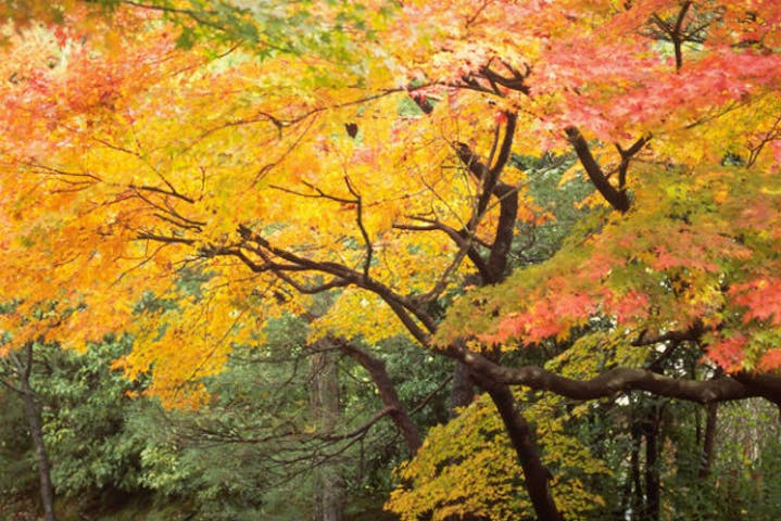 最大17 割引 湯本富士屋ホテル 前売りクーポン 入浴料 タオルセット アソビュー