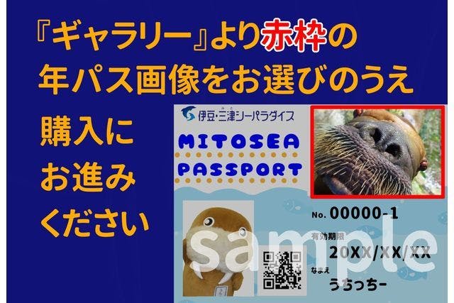 【おトク】 伊豆・三津シーパラダイスのチケット購入・予約 Aquarium