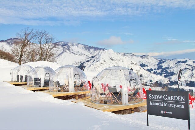 石打丸山スキー場 ランチパック（リフト1日券+ランチ券） ※翌日以降利用可｜アソビュー！