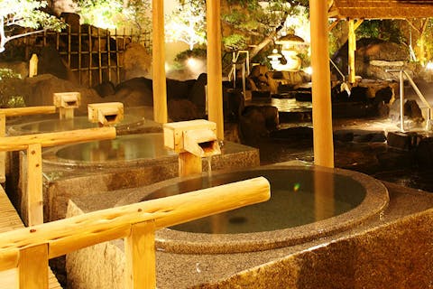 【平日・120円割引】天然温泉かきつばた クーポン（入館料＋岩盤浴）