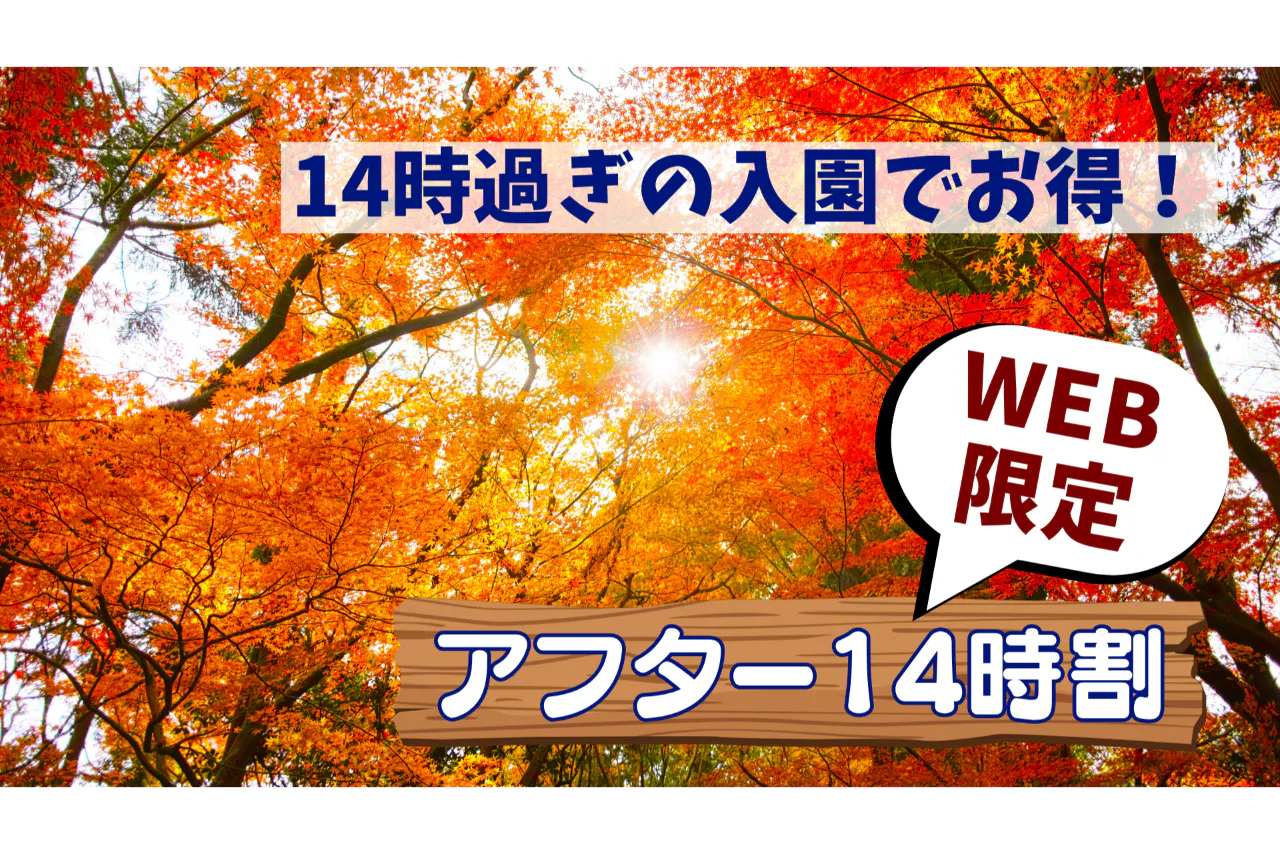 秋のアフター14時割