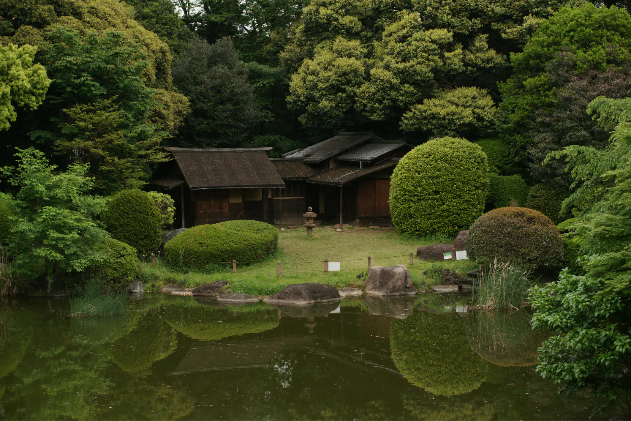 Discover Japanese Culture GuidedTour&ZenBreathingExperience - 東京